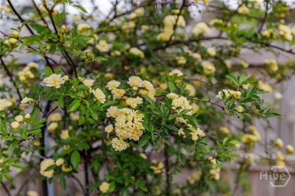 $330,000 | 360 Joe Graham Road, Hull, GA 30646