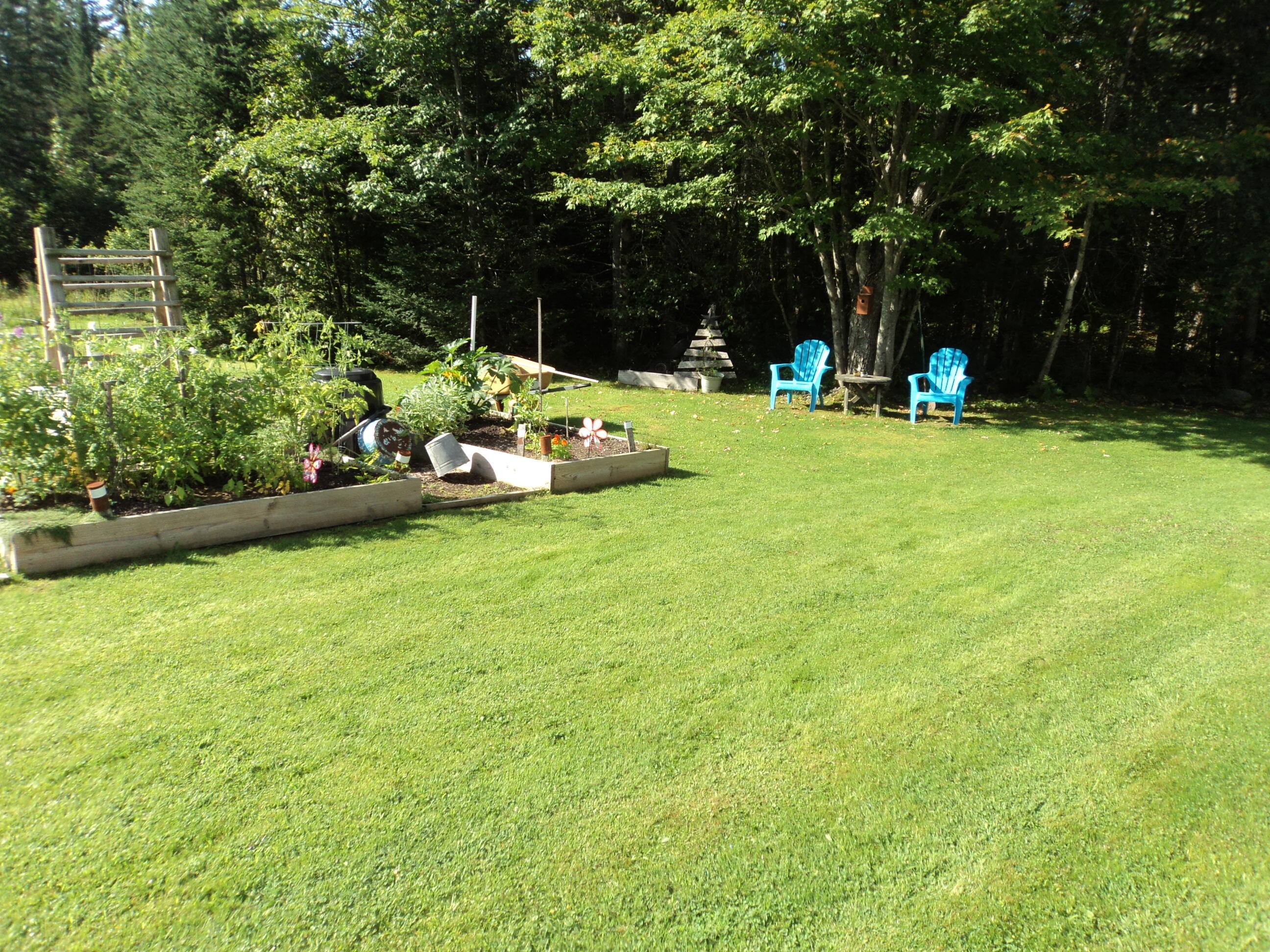 677 Hartland Road Canaan, ME 04924 - Photo 16 of 21 DSC00804