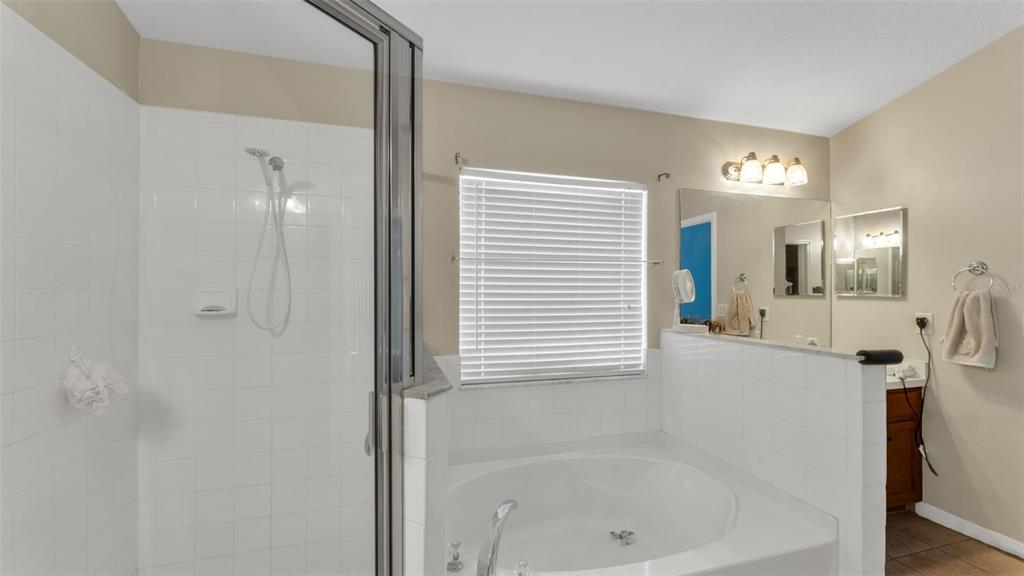 2729 Pankaw Lane Valrico, FL 33596 - Photo 17 of 41 a bathroom with a bathtub and a shower