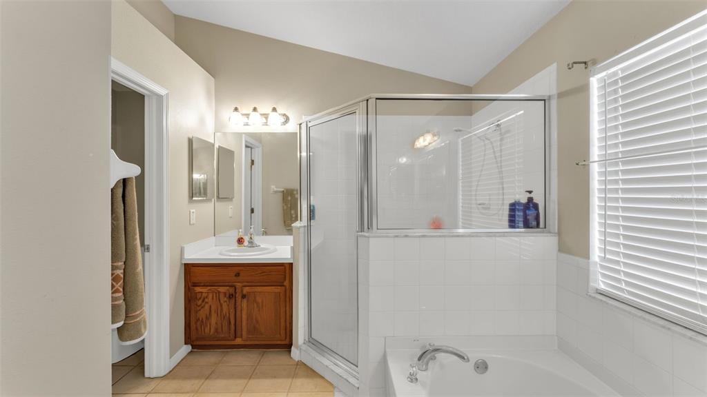 2729 Pankaw Lane Valrico, FL 33596 - Photo 18 of 41 a bathroom with a shower sink and mirror