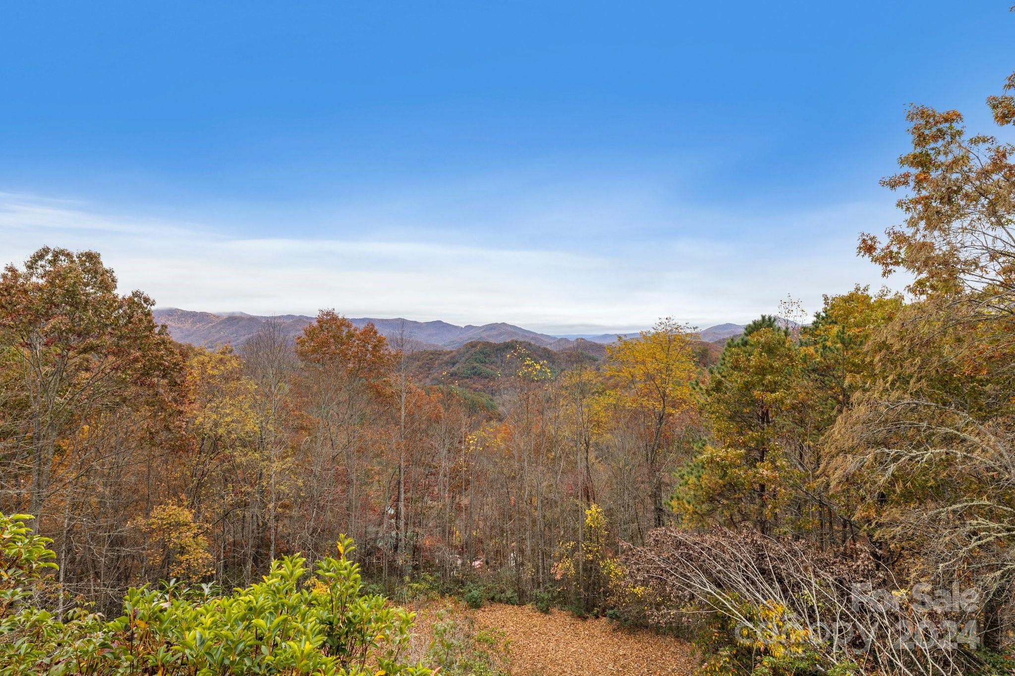425 Turkey Run Bryson City, NC 28713 - Photo 4 of 47 a view of a yard with a mountain in the background