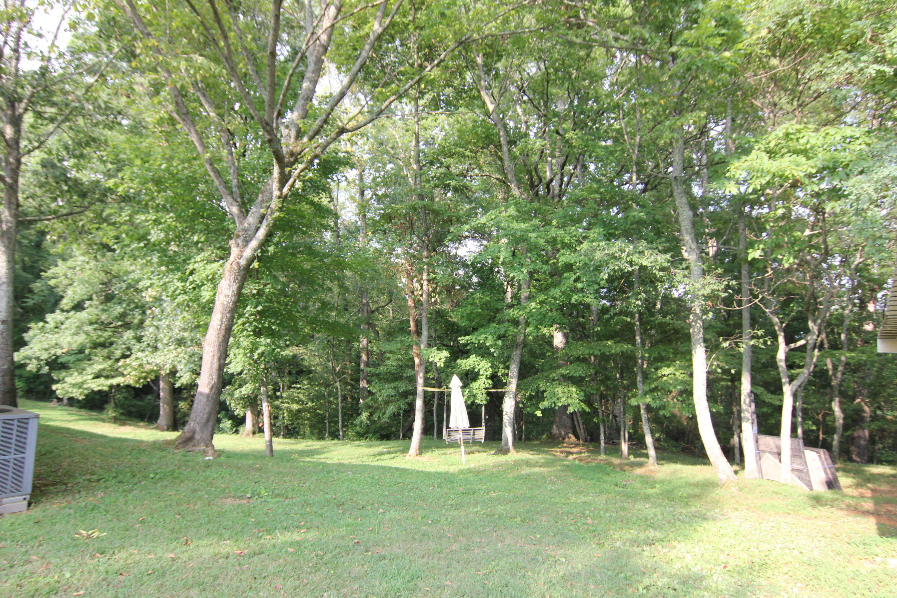 7606 Clapps Chapel Road Corryton, TN 37721 - Photo 17 of 21 IMG_8444