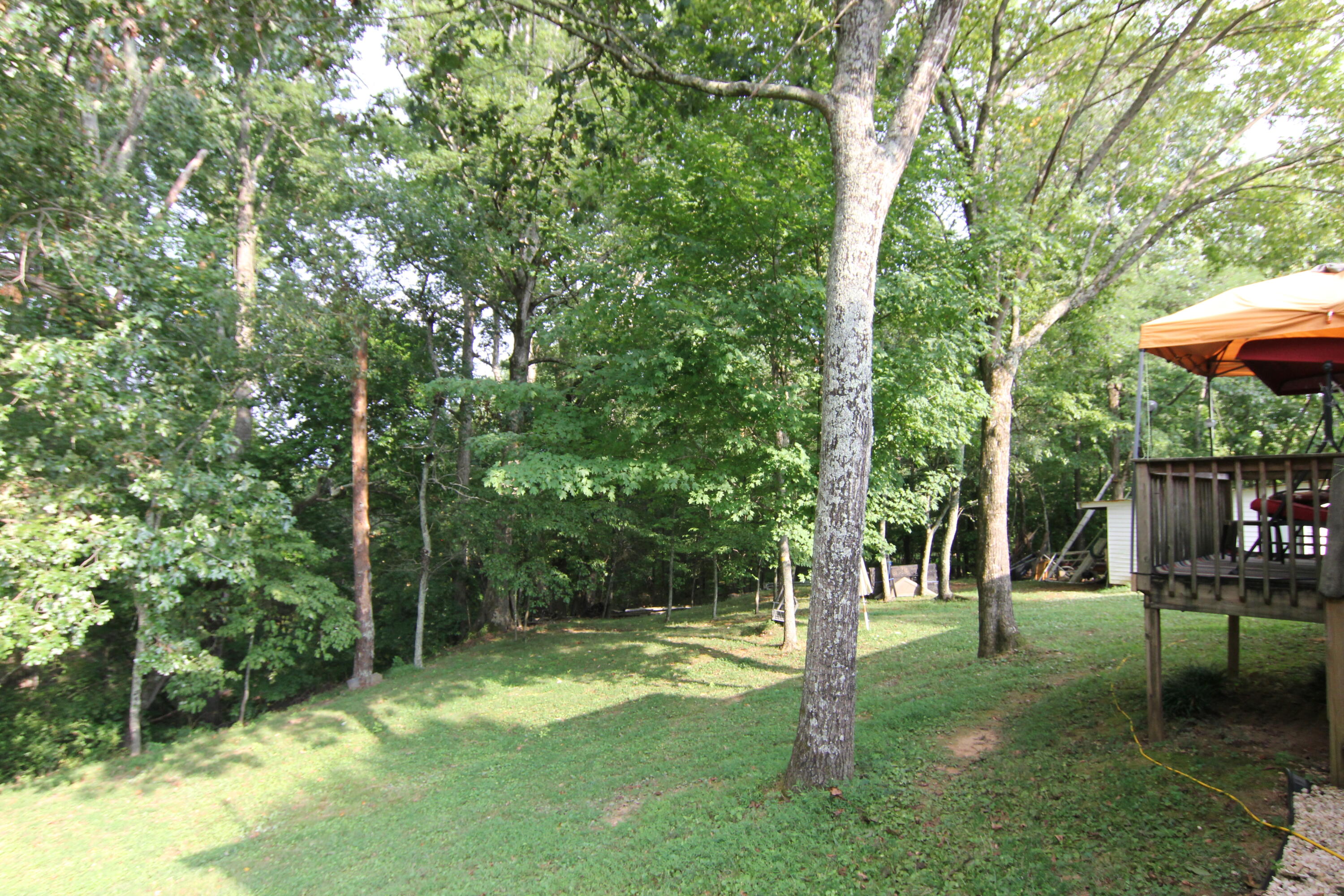 7606 Clapps Chapel Road Corryton, TN 37721 - Photo 18 of 21 IMG_8445