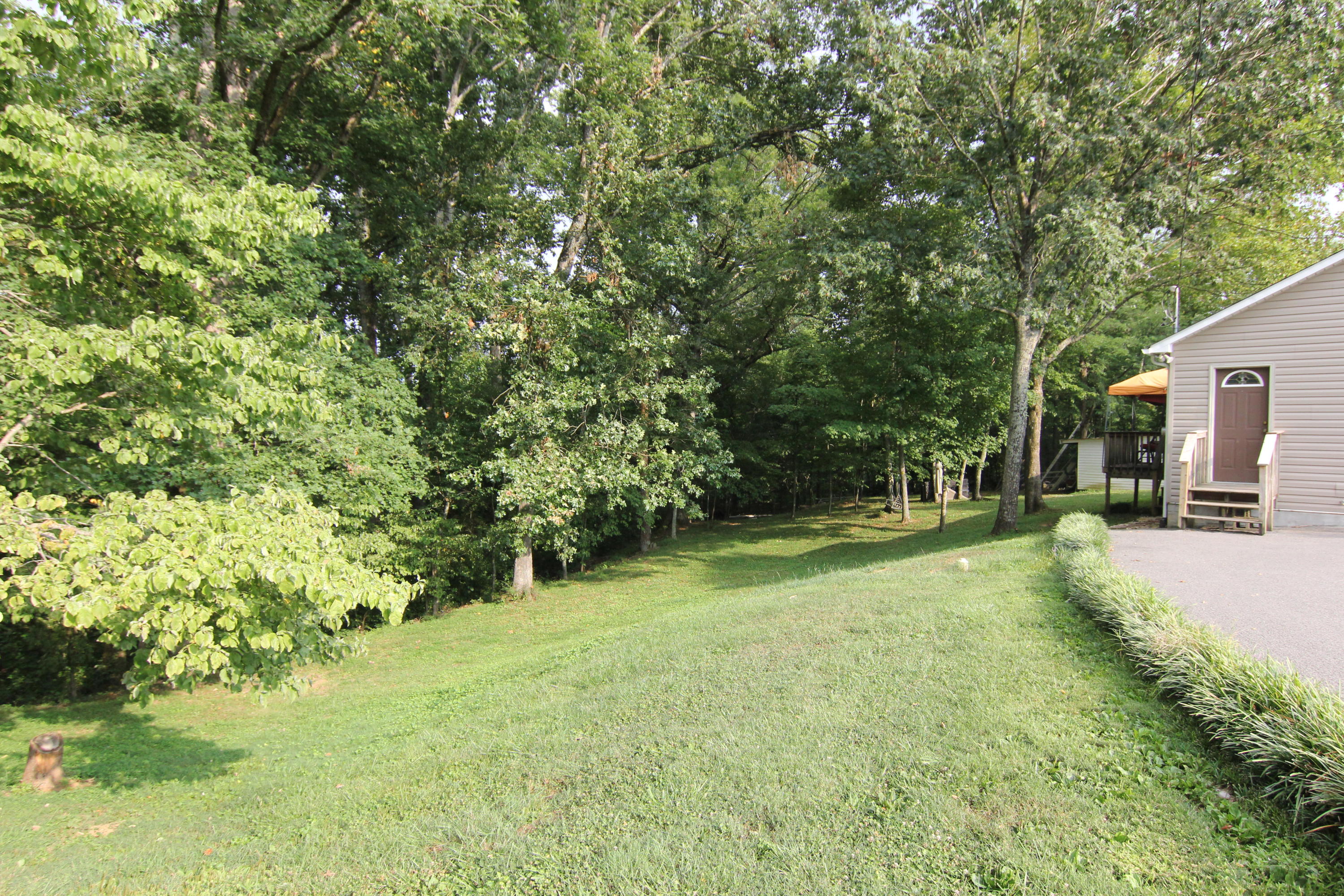 7606 Clapps Chapel Road Corryton, TN 37721 - Photo 20 of 21 IMG_8452