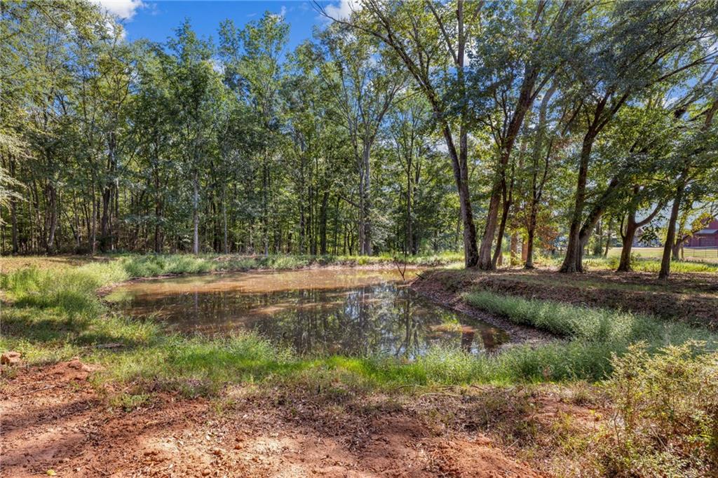 1051 Gresham Road Good Hope, GA 30641 - Photo 49 of 55 Gallery Image 49