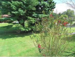296 Fain Road Blountville, TN 37617 - Photo 17 of 17 back yard view