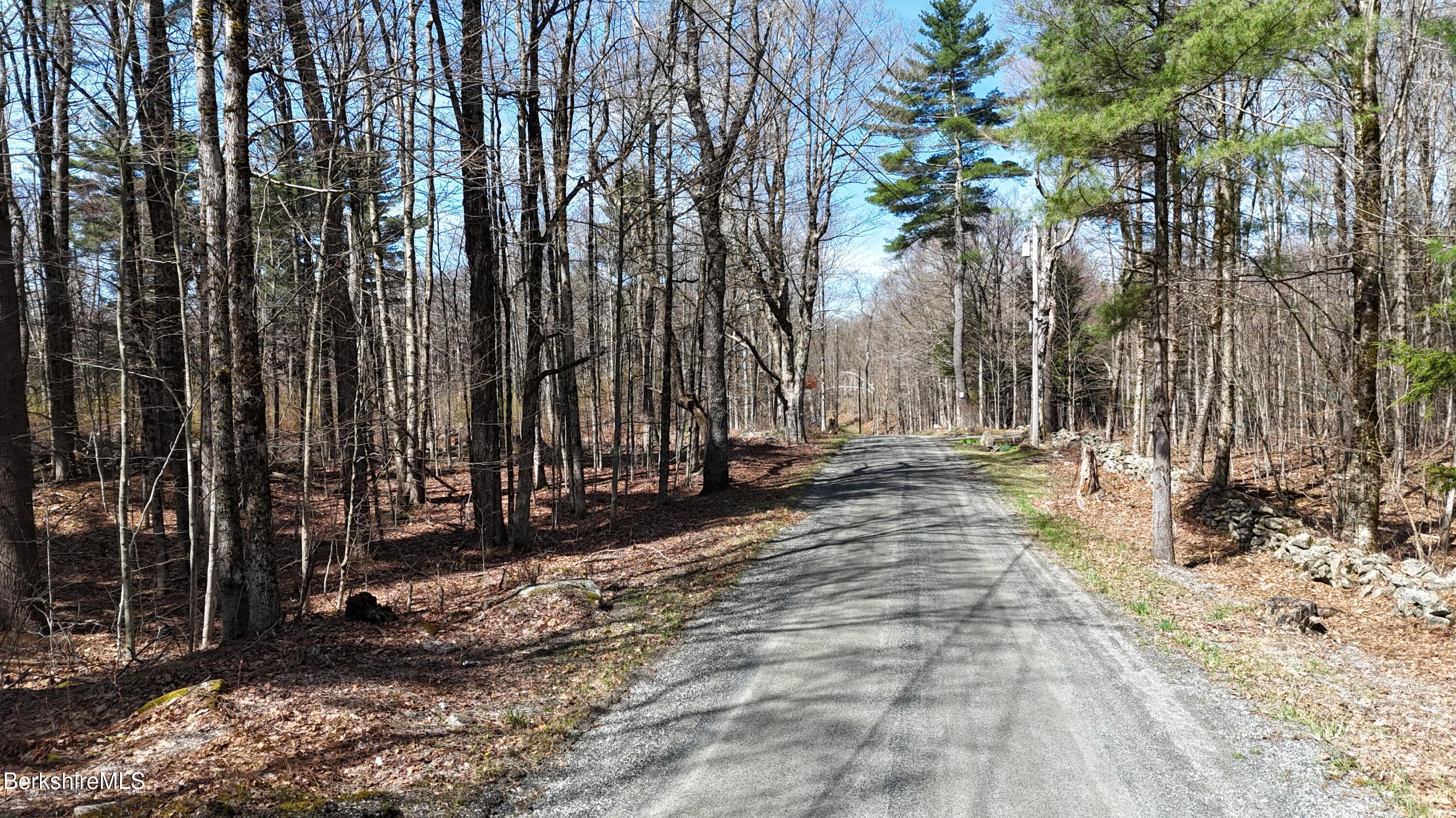 Lot 15 Dimmock Road Otis, MA 01253 - Photo 5 of 12 Road