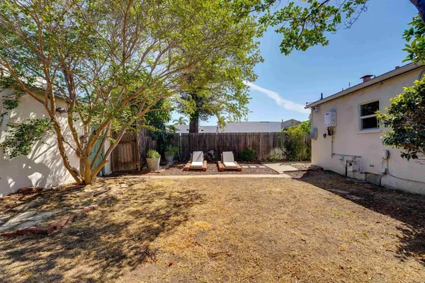 a view of a backyard with a tree