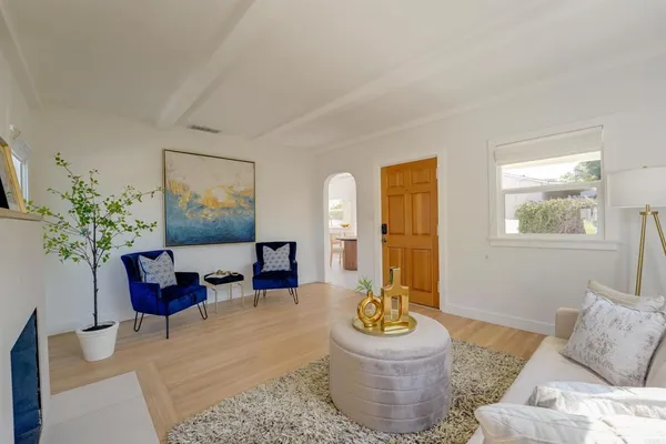 a living room with furniture and a potted plant