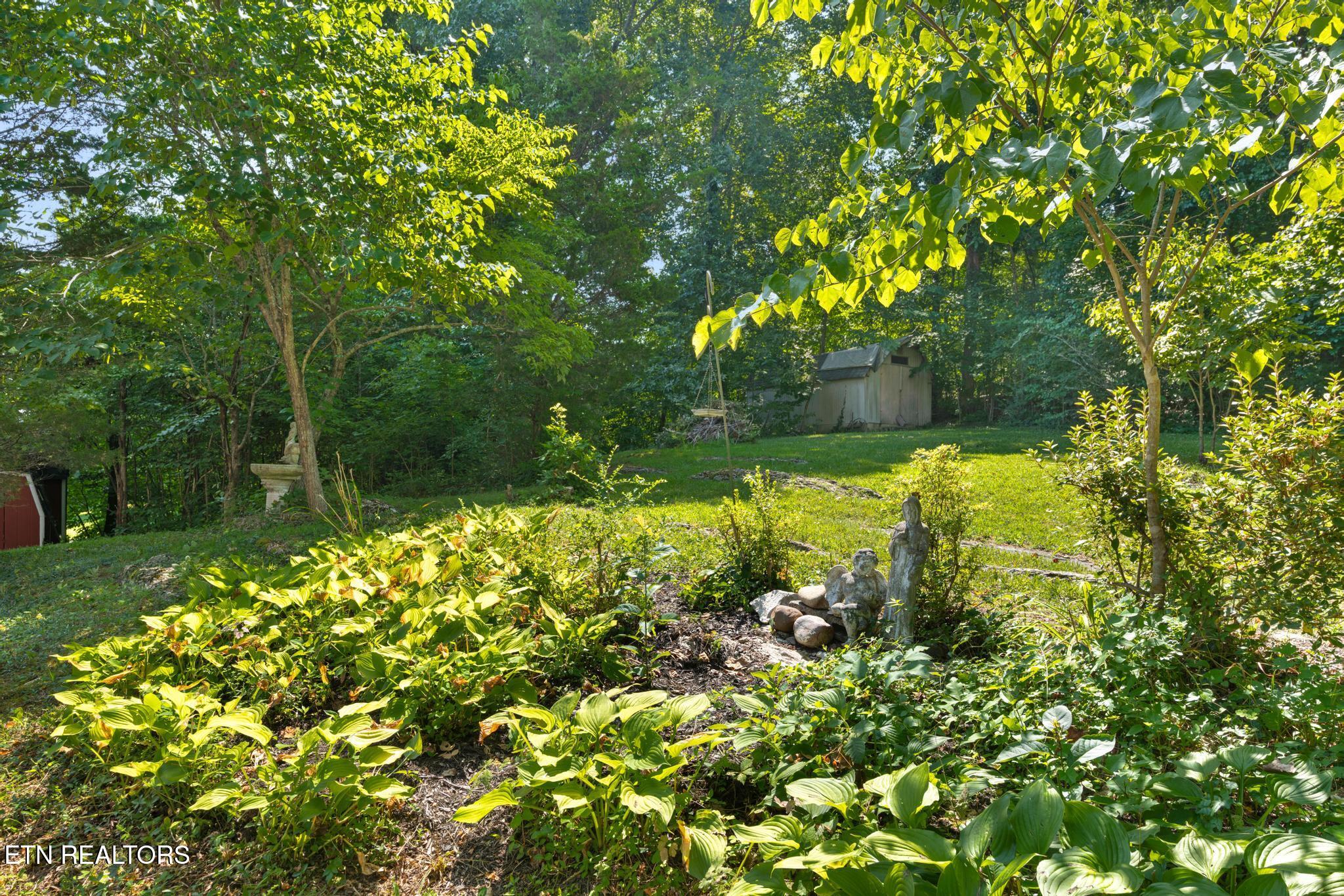 800 Brown Mountain Loop Road Knoxville, TN 37920 - Photo 37 of 45 Gorgeous Landscaping