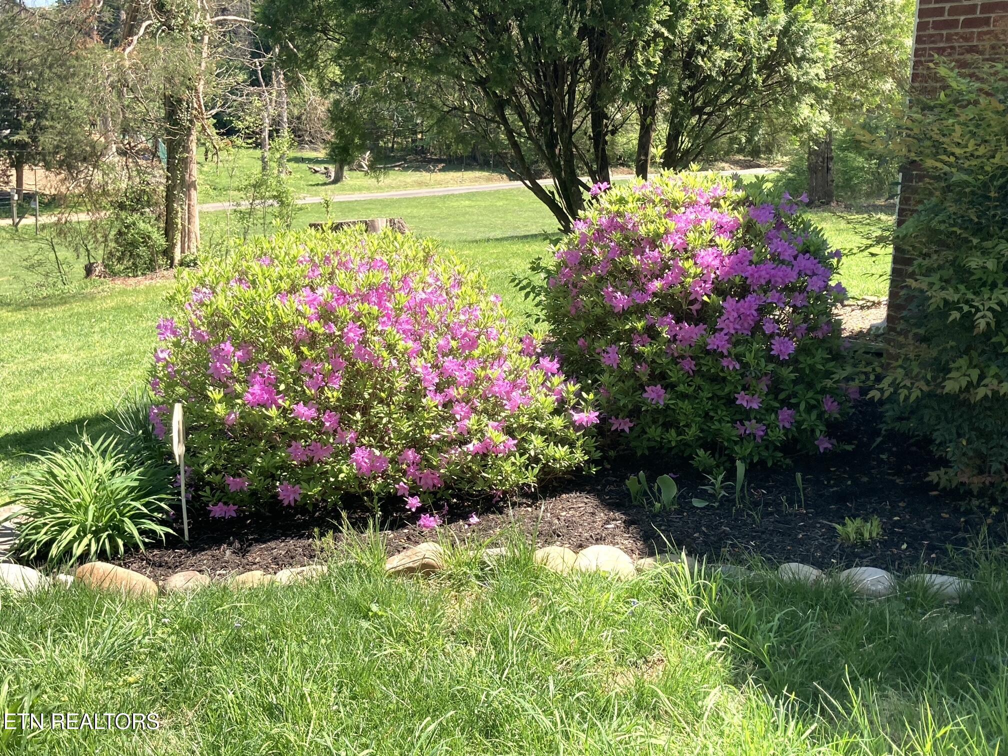 800 Brown Mountain Loop Road Knoxville, TN 37920 - Photo 44 of 45 Spring Blooms