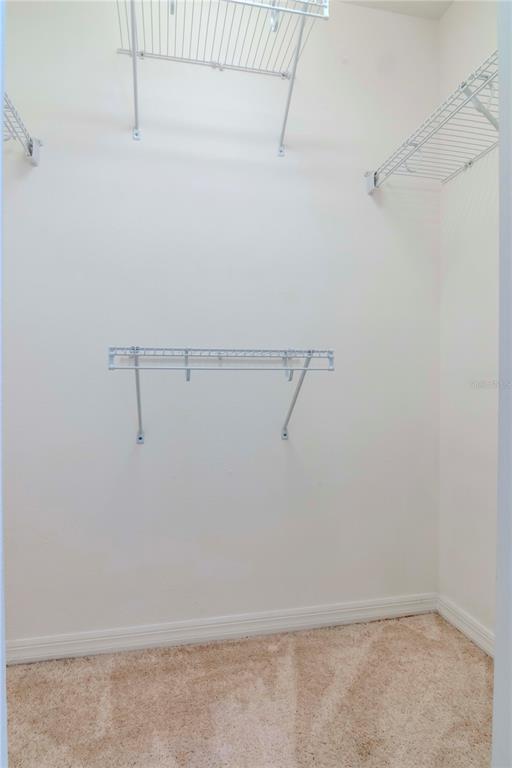 8951 Walnut Gable Court Riverview, FL 33578 - Photo 18 of 20