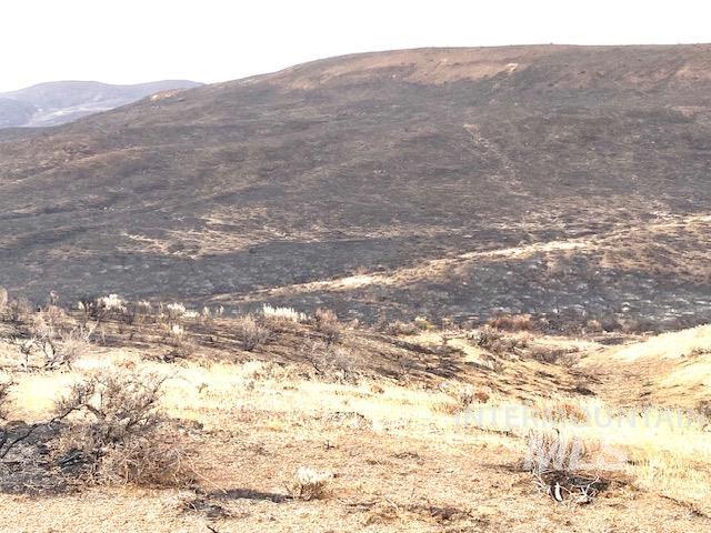 Tbd Rock Creek Road, Unit 2 Weiser, ID 83672 - Photo 1 of 7 Gallery Image 1