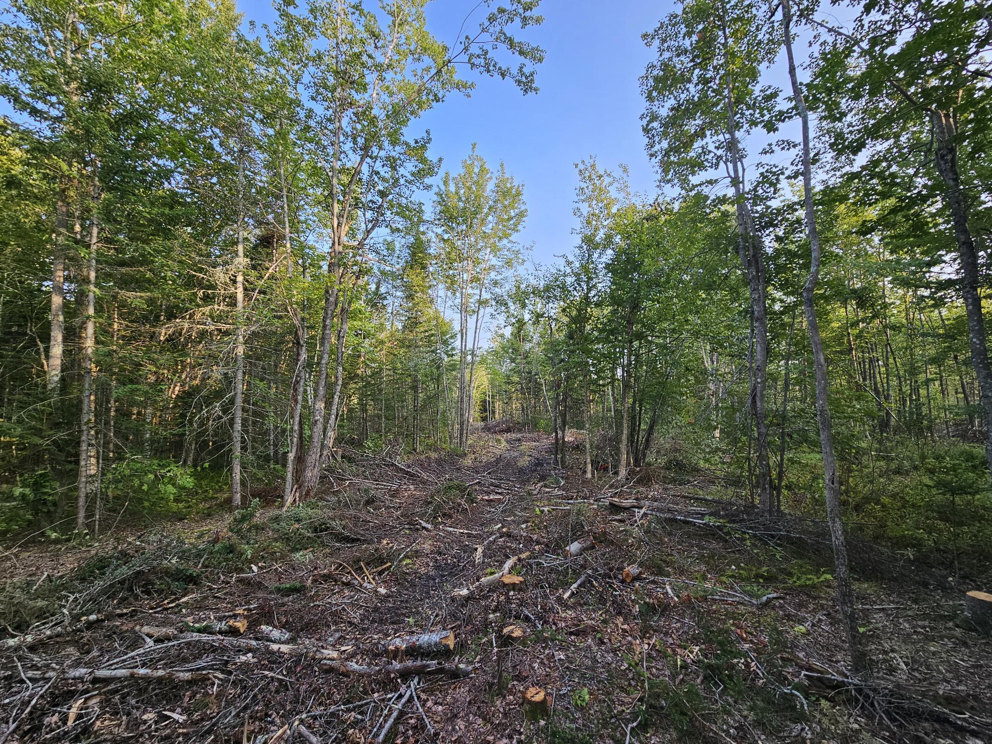 38 Bog Hill Road Searsport, ME 04974 - Photo 4 of 18 20230901_172845