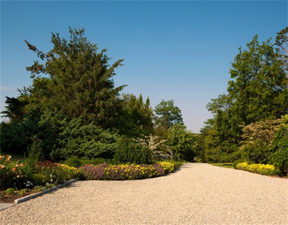 63 Nichols Road Cohasset, MA 02025 - Photo 19 of 22 a view of a garden with a tree