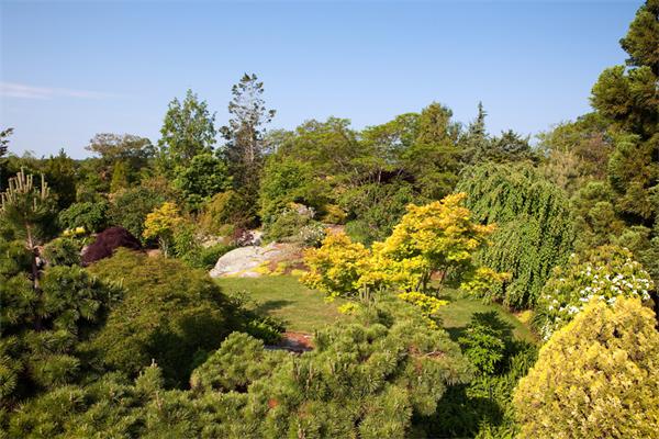 63 Nichols Road Cohasset, MA 02025 - Photo 20 of 22 a view of a yard