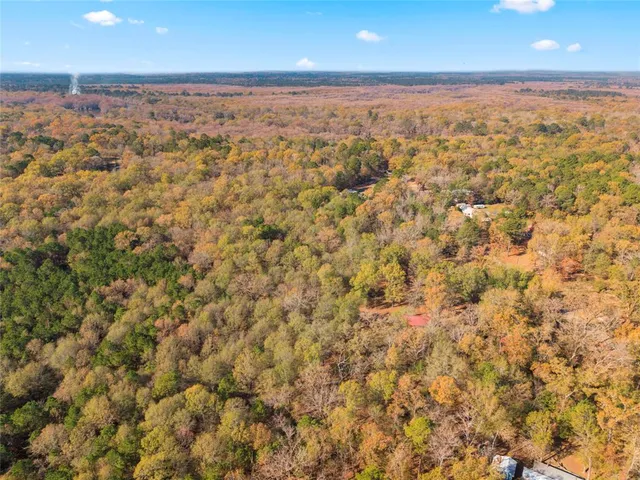 $75,000 | 0 County Road 2413 Road, Karnack, TX 75661