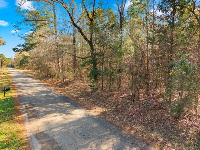 $75,000 | 0 County Road 2413 Road, Karnack, TX 75661