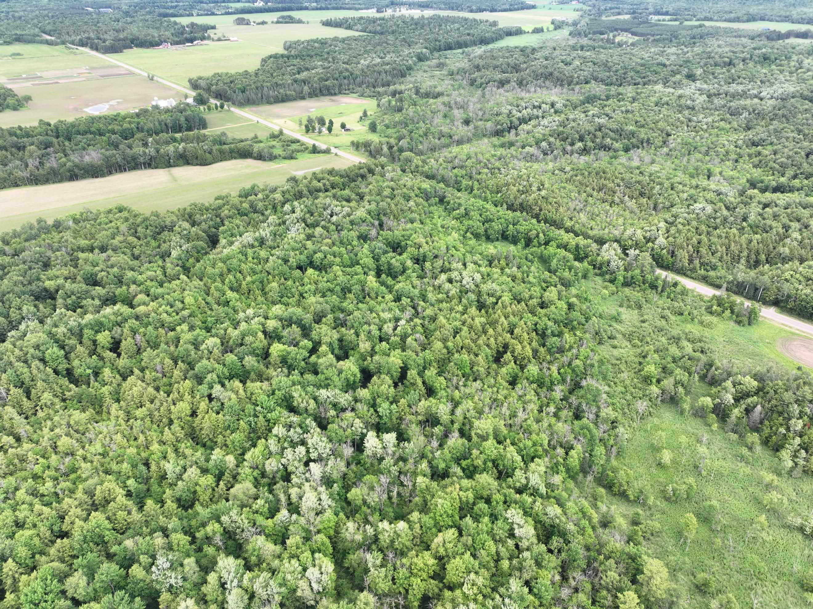 118.88-acres On County Rd O Wausau, WI 54401 - Photo 10 of 15