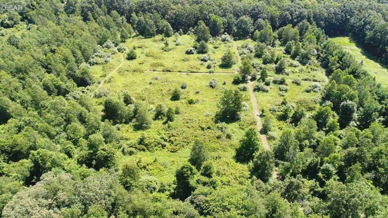 0 Hosner Road Metamora, MI 48428 - Photo 5 of 18
