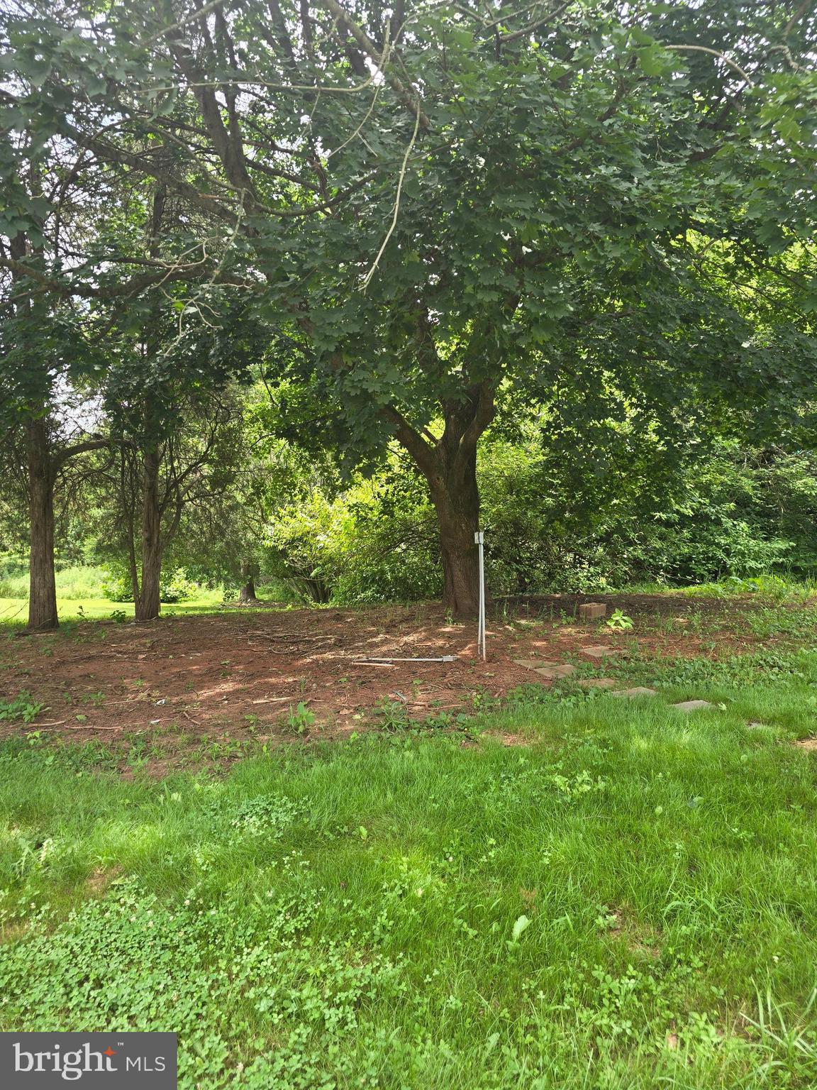 718 Francis Scott Key Highway Keymar, MD 21757 - Photo 7 of 16