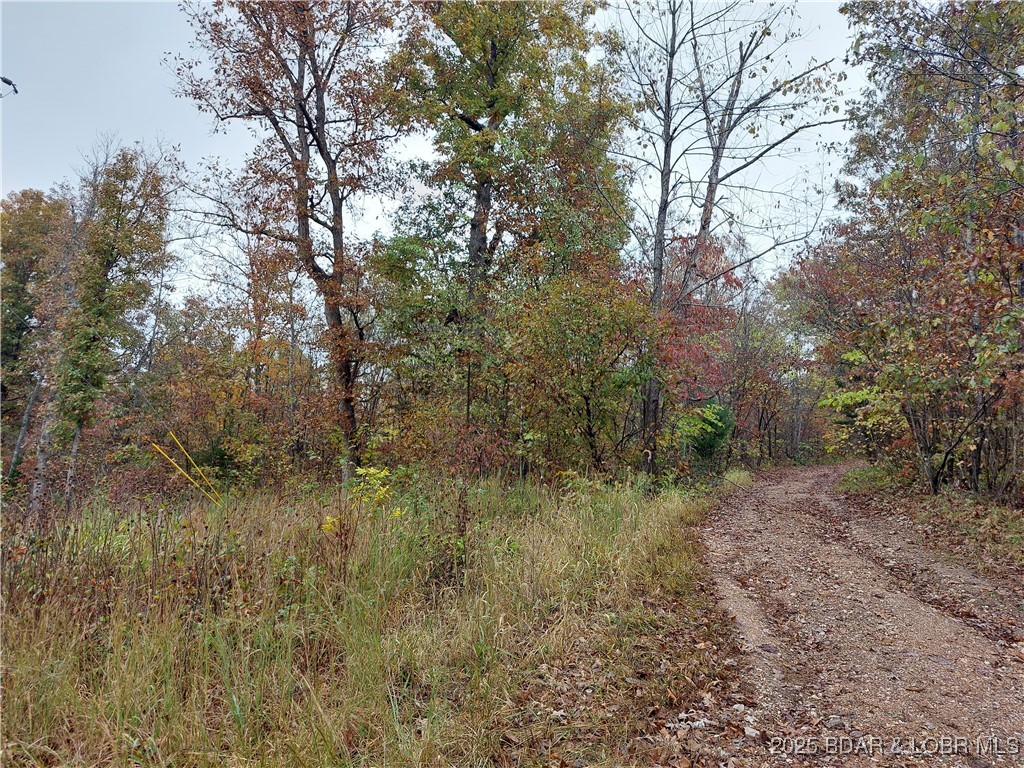 28695 Clearwater Road Stover, MO 65078 - Photo 2 of 7 Unnamed road along south border of property