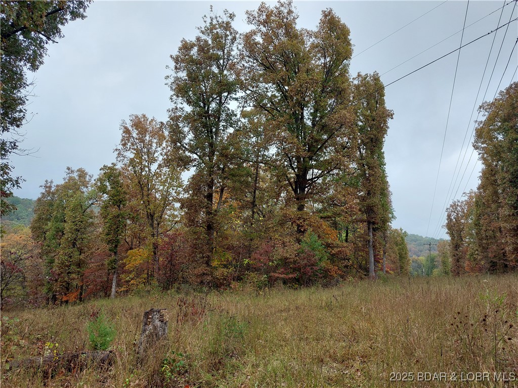 28695 Clearwater Road Stover, MO 65078 - Photo 4 of 7