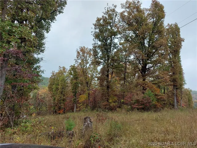 $39,000 | 28695 Clearwater Road, Stover, MO 65078