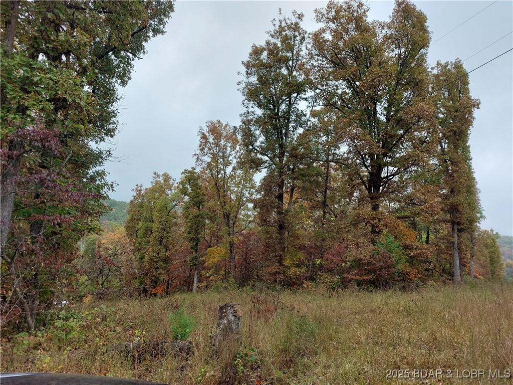 28695 Clearwater Road Stover, MO 65078 - Photo 5 of 7 Beautiful property for home or hunting!