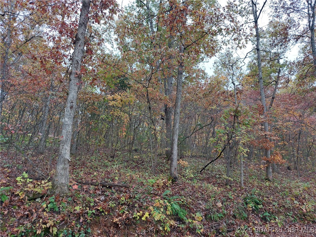 28695 Clearwater Road Stover, MO 65078 - Photo 6 of 7