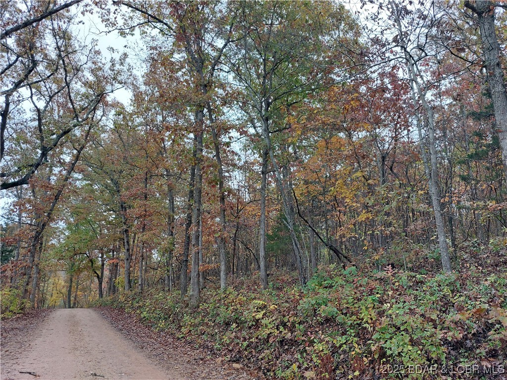 28695 Clearwater Road Stover, MO 65078 - Photo 7 of 7 Going north on Clearwater Rd, property on right.