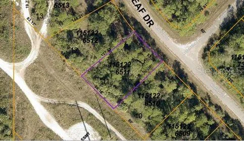 a view of a garden with a flower