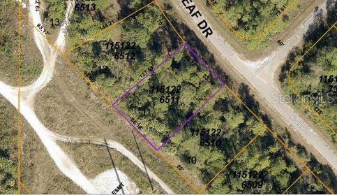 Blueleaf Dr Port North Port, FL 34288 - Photo 3 of 5 a view of a garden with a flower