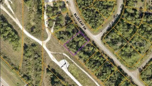 a picture of a tree with a yard