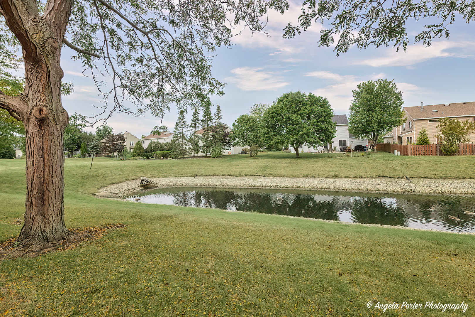 17838 Braewick Road, Unit 16017 Gurnee, IL 60031 - Photo 28 of 28 a view of a park that has a large tree