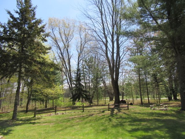 6080 North Merritt Road Merritt, MI 49667 - Photo 22 of 33 1832018-21.JPG