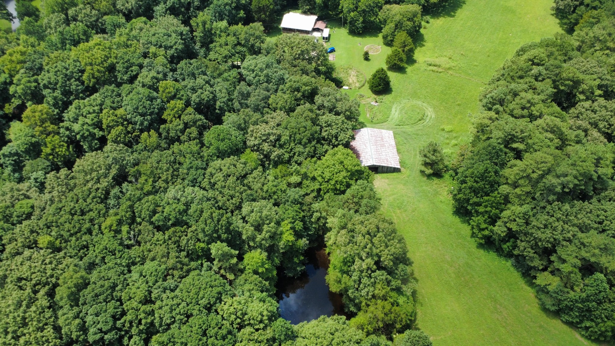 1300 Holder Road Cedar Grove, TN 38321 - Photo 15 of 19 Gallery Image 15