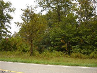 4497 Windfall Road Medina, OH 44256 - Photo 1 of 1 Gallery Image 1