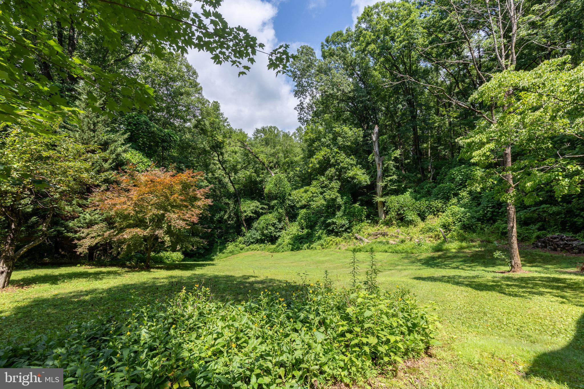 101 Middle River Rdg Road Stanardsville, VA 22973 - Photo 7 of 28