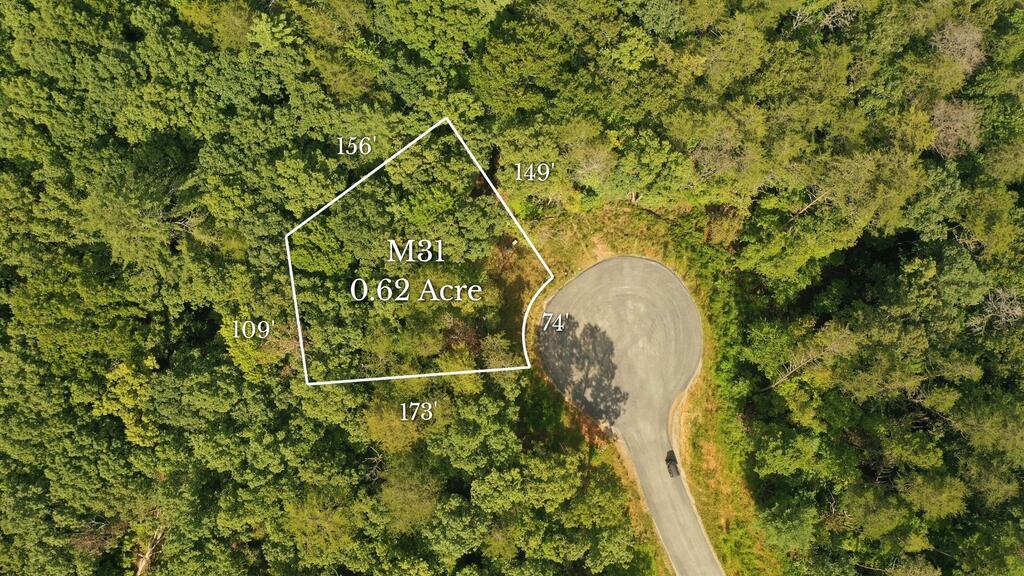 M31 Pne Vly Road Mineral Bluff, GA 30559 - Photo 1 of 17 Main View