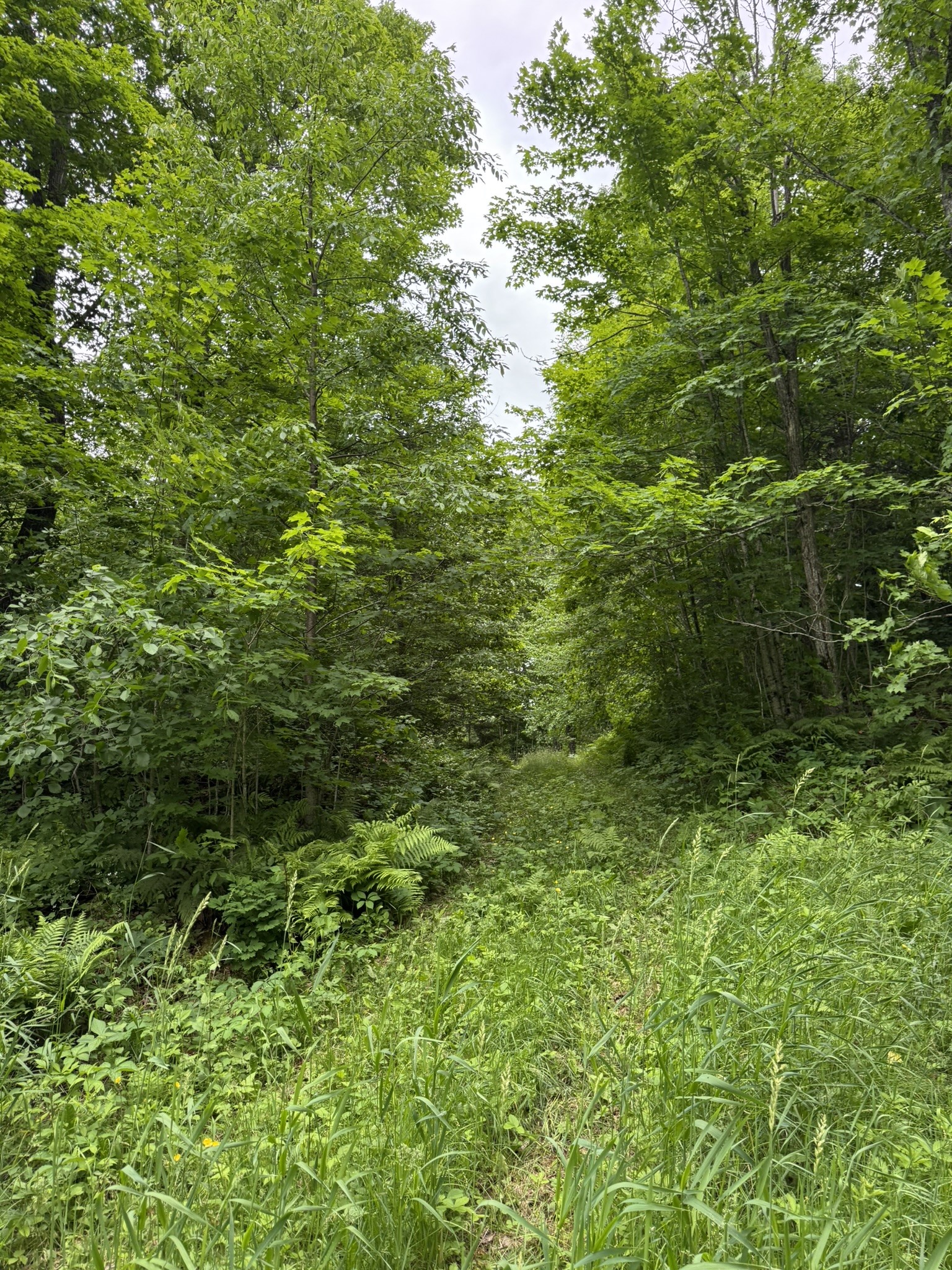 75134 West Road Butternut, WI 54514 - Photo 13 of 35