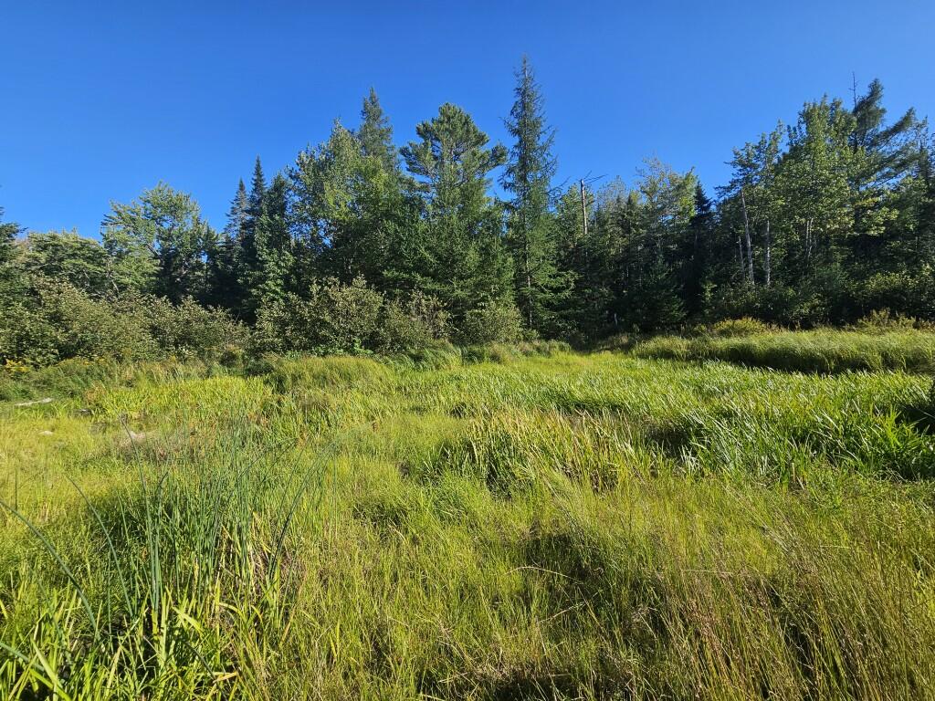 M11-l1 Wilder Davis Road Hudson, ME 04449 - Photo 33 of 53 20260907_162005