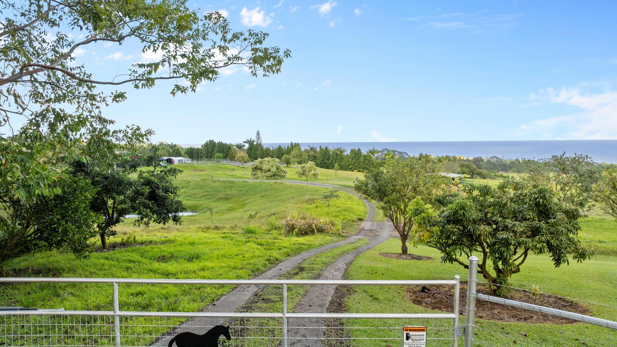 29-2584 Kaiwiki-Homestead Road Hakalau, HI 96781 - Photo 25 of 30