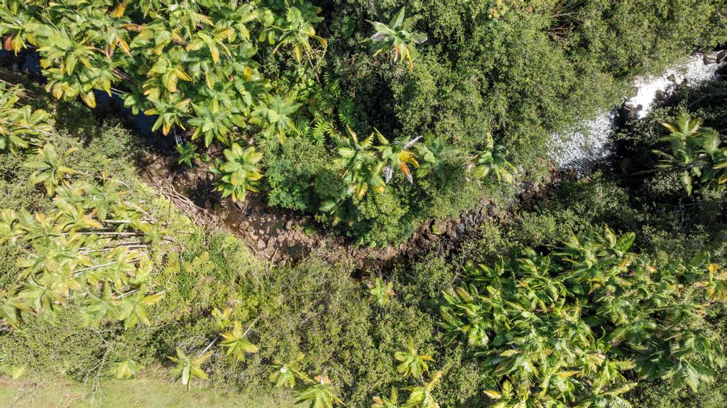 29-2584 Kaiwiki-Homestead Road Hakalau, HI 96781 - Photo 7 of 30