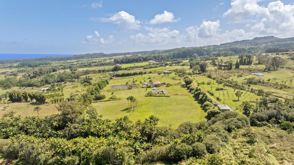 29-2584 Kaiwiki-Homestead Road Hakalau, HI 96781 - Photo 8 of 30