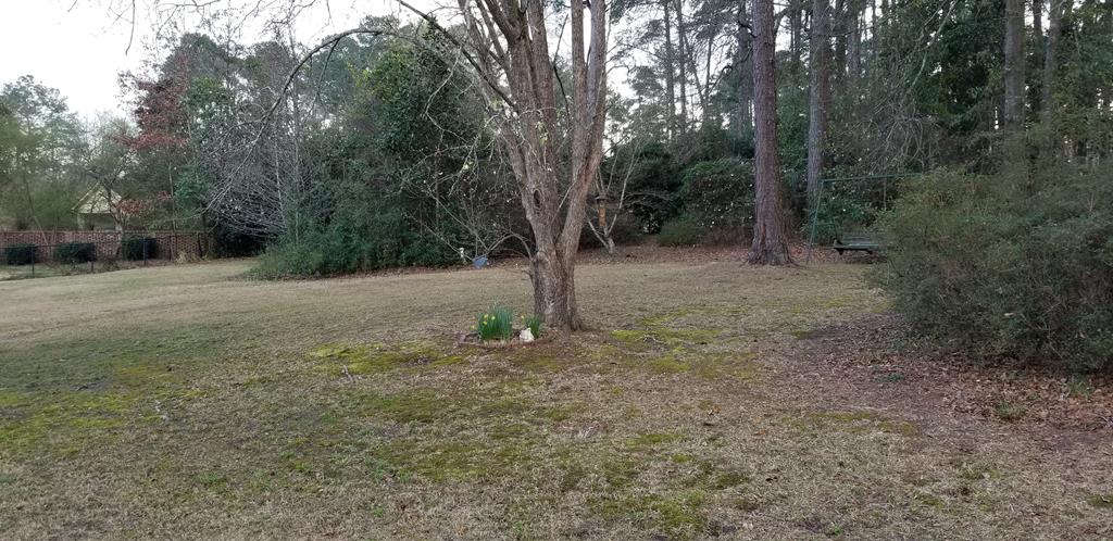 4049 Sears Road Columbus, GA 31907 - Photo 26 of 37 Gallery Image 26