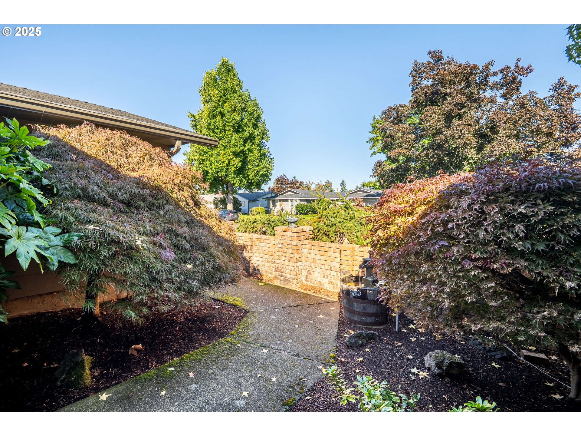 2121 Firth Avenue Springfield, OR 97477 - Photo 6 of 40 a view of a yard