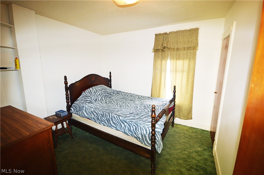 800 Park Road Painesville, OH 44077 - Photo 15 of 28 2nd Bedroom on the 1st level.