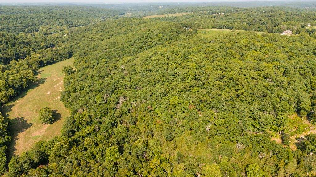 0 Misty Springs Road Galena, MO 65656 - Photo 24 of 52 Stone14drone(MLSRES)-2