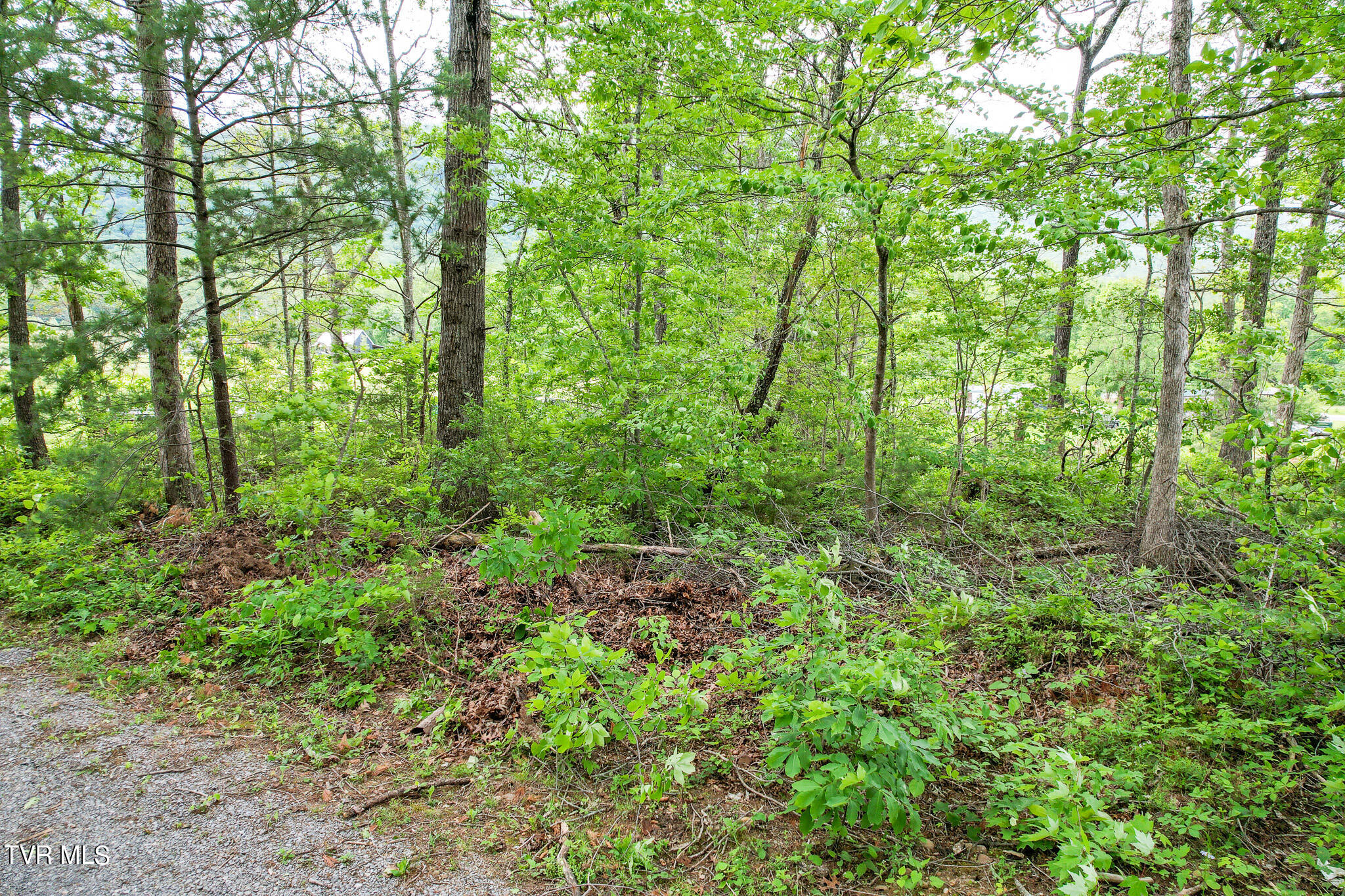 70 Colyer Road Greeneville, TN 37743 - Photo 51 of 61 51